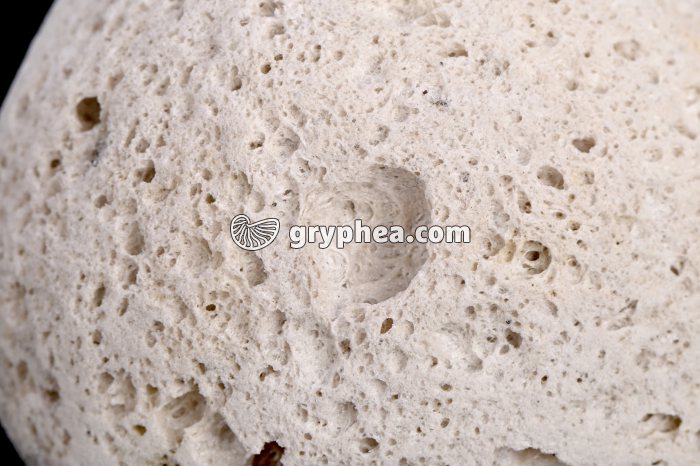 Ponce - galet - détail (Lac Taupo, NZ) - gryphea.com